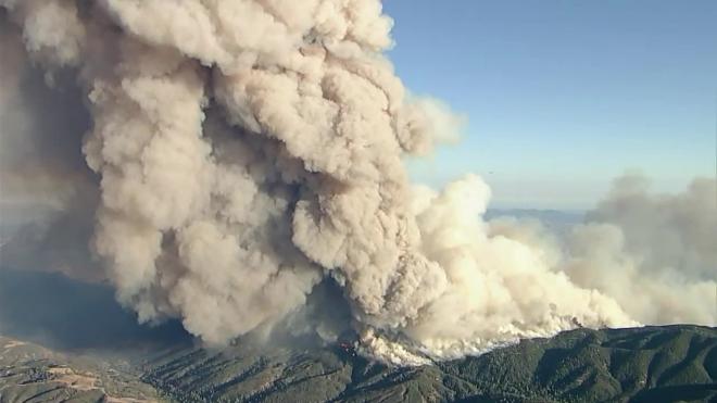 Крупный лесной пожар начался на территории заповедника в Калифорнии