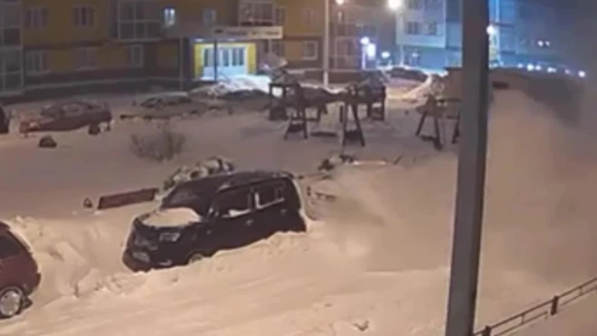 Глыба снега рухнула с крыши на гулявшего с собакой россиянина и попала на видео