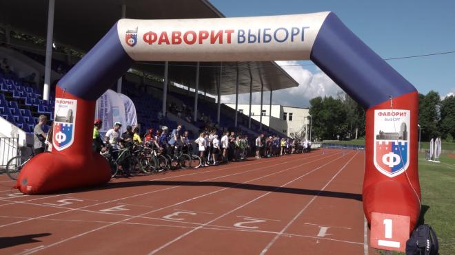 Видео: в Выборгском районе прошел день физкультурника