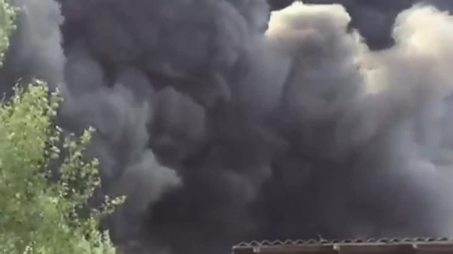 В сети появилось видео крупного пожара в Сосновом Бору