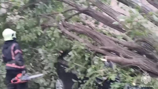 В результате шторма в Петербурге пострадали два человека