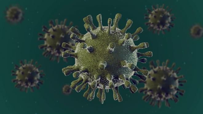 В Якутии выявили шесть новых случаев коронавируса