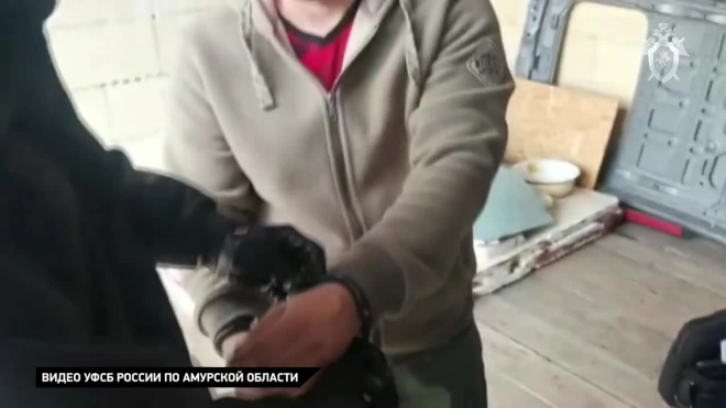 В Амурской области полицейские задержаны по подозрению в незаконном обороте оружия и боеприпасов