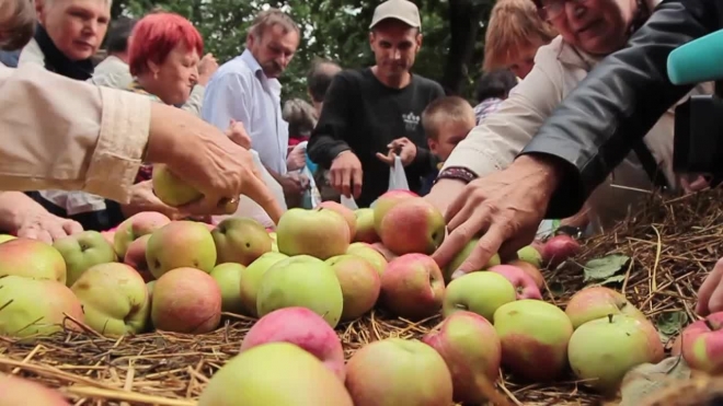 Яблочный Спас 2015 года: приметы, обычаи и традиции праздника дарят верующим надежду на лучшую жизнь
