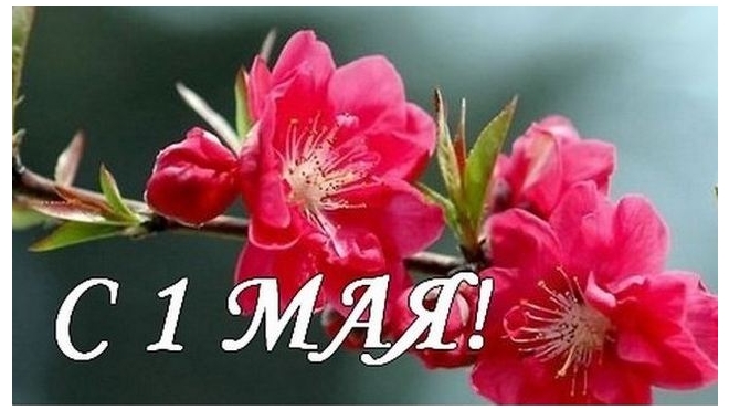 1 мая День труда, День весны. Поздравления с 1 мая в стихах, прозе