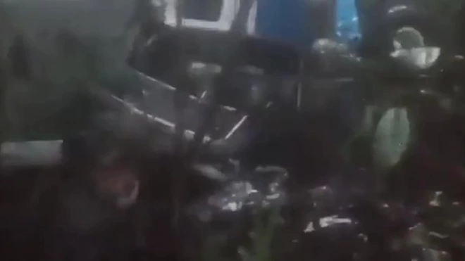 В Колумбии нашли живыми четырёх детей спустя 16 дней после крушения самолёта