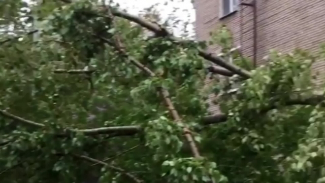 Ураган в Москве: Есть погибшие и пострадавшие среди людей, сотни поваленных деревьев, десятки поврежденных автомобилей