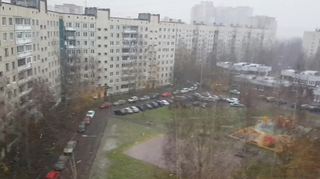 Видео: В Петербурге выпал первый снег 