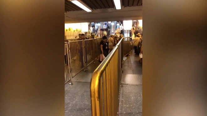 Пассажирка потеряла сознание на эскалаторе станции "Проспект Просвещения"