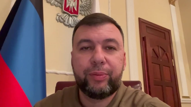 Пушилин заявил о ликвидации таможни между ДНР и Россией