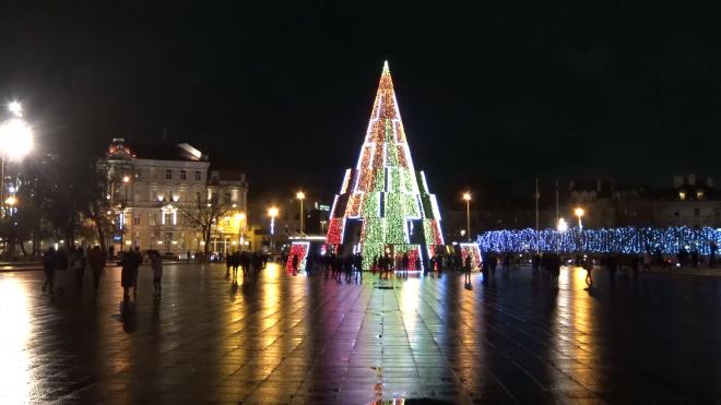 Названа самая красивая рождественская елка Европы