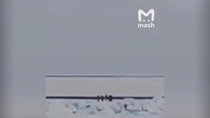 МЧС проводит операцию по спасению 18 человек с оторвавшейся льдины на юге Сахалина