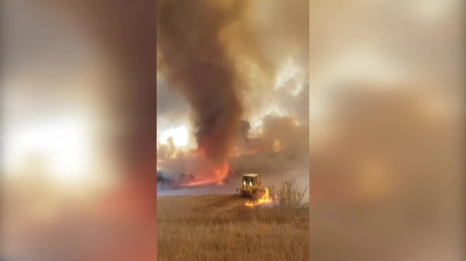 Огненный смерч в Калифорнии попал на видео