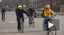 Велосипедизация Петербурга