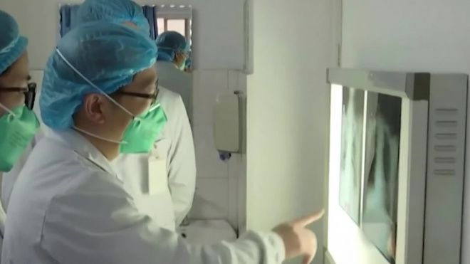 В Гонконге подтверждена передача коронавируса от человека к животному