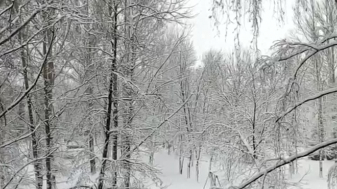 Воронеж накрыло мощным снегопадом