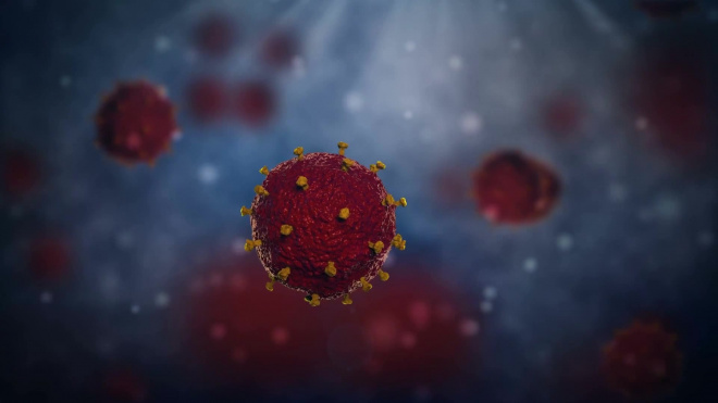 В Австралии создали копию китайского коронавируса