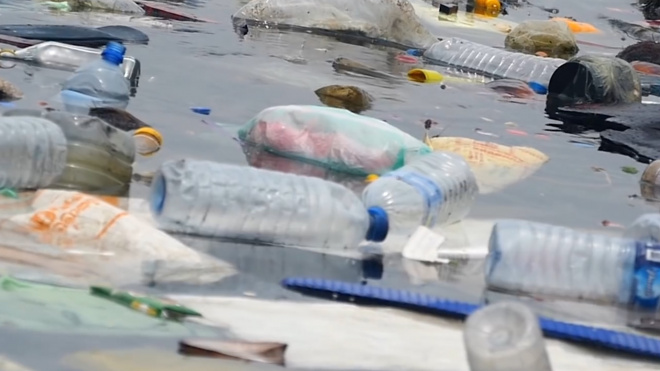 Greenpeace назвала основной вид мусора на берегах водоемов России