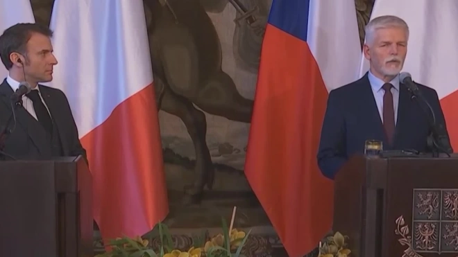Премьер Чехии призвал усилить взаимодействие с атомной промышленностью Франции