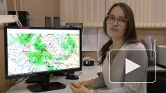 Россиян предупредили о заморозках в ряде регионов