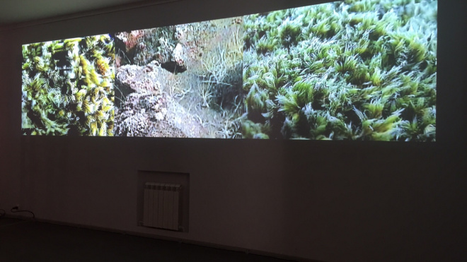 В Петербурге завершилась выставка исландского видеоарта в рамках "Послания к человеку"