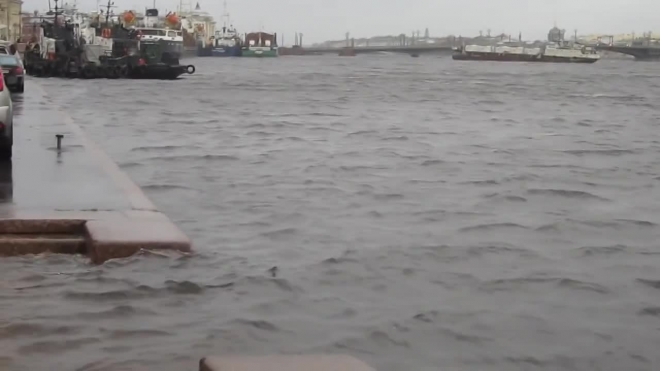 В Петербурге ожидаются снегопад и штормовой ветер