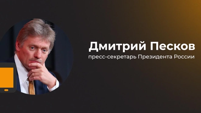 Песков рассказал о новом порядке публикаций деклараций парламентариями
