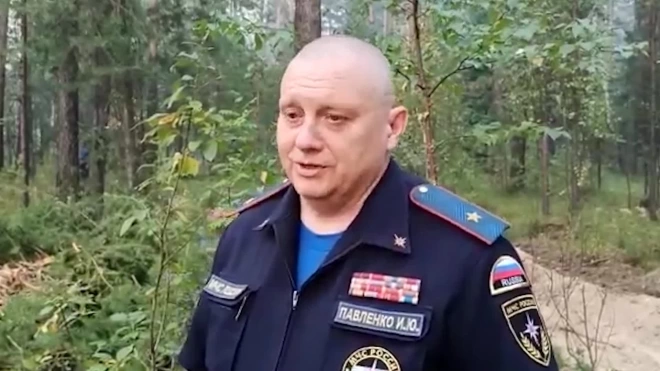 Из-за угрозы распространения пожара из садового участка в Свердловской области эвакуировали более 80 человек 
