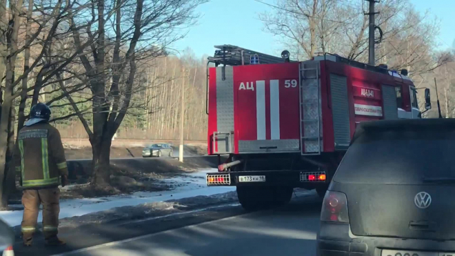 Видео: в ДТП на Приморском шоссе водитель сбил столб