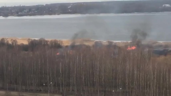 Появилось видео пожара на берегу Лахтинского разлива