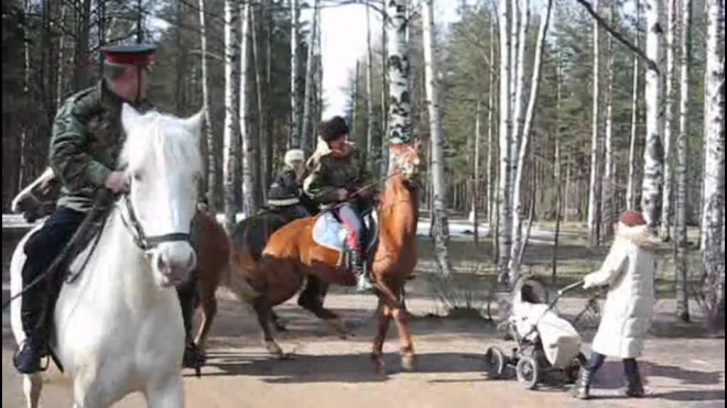 Православные дружины незаконны, но действуют 