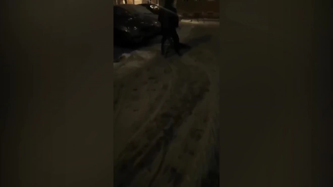 Петербуржец собрал портативную снегоуборочную машину 