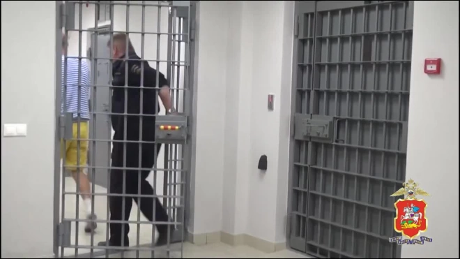 В Московской области полицейские задержали наркокурьера