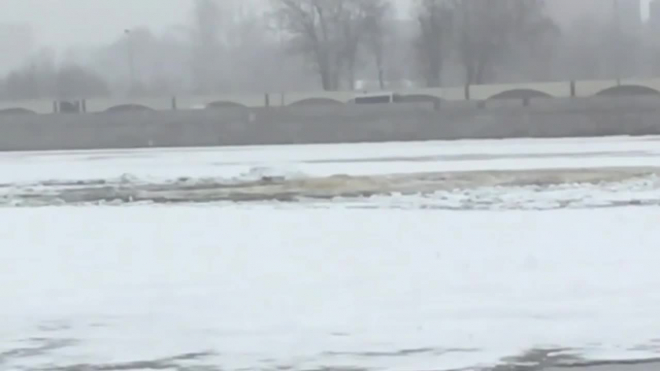 Петербуржцев напугал кракен в Неве: видео