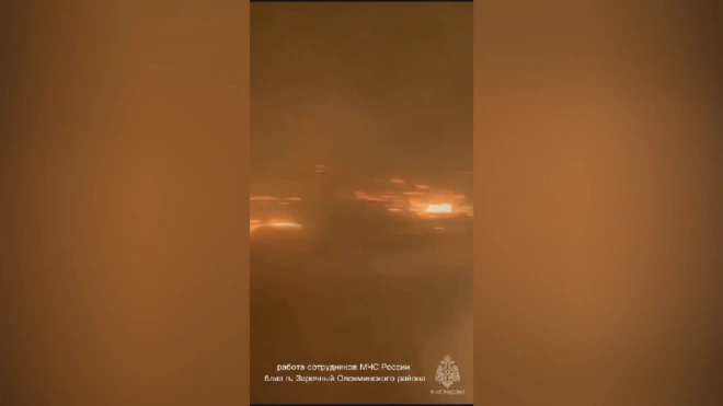 МЧС: в Якутии действует 98 природных пожаров