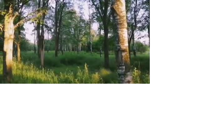 В Южно-Приморском парке Петербурга появилось новое изображение от Loketski