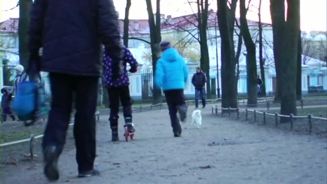 Собака Юрия Гальцева погибла в результате массовой травли в Никольском сквере