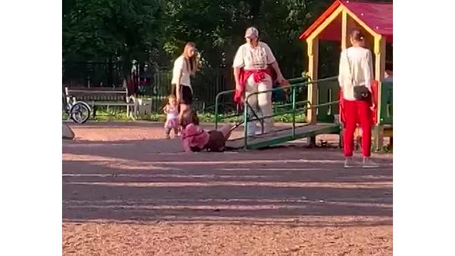 Неизвестная женщина избила 11-летнюю девочку на детской площадке на Подвойского