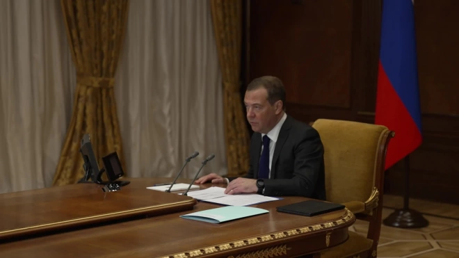 Медведев призвал не допустить возникновения в России этнических анклавов 
