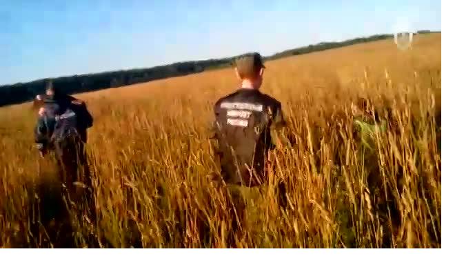 Видео: В Костромской области нашли пропавшую накануне 9-летнюю девочку 