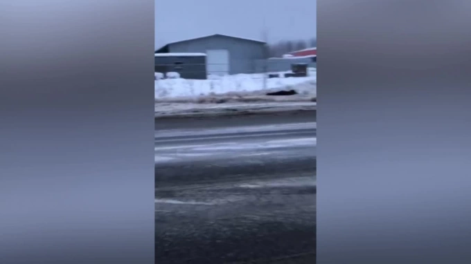 Видео: в Тосно перевернулся грузовик после столкновения с пикапом
