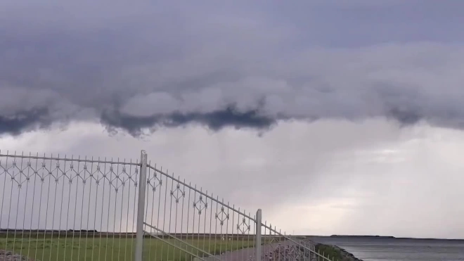 В Петербурге бушует циклон "Зельда"