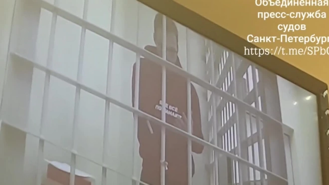 Суд отклонил жалобы Хованского на продление ареста 