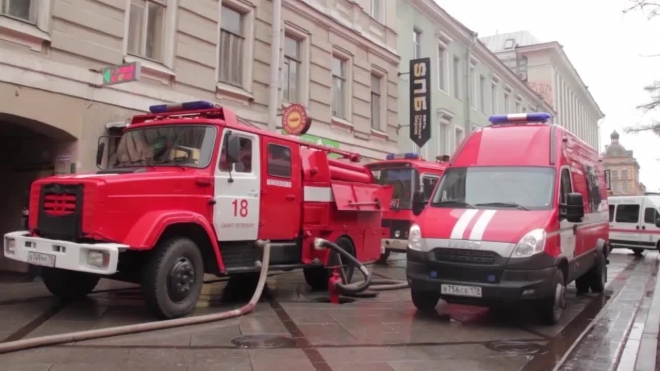 Калейдоскоп городских будней: обзор происшествий за неделю в Петербурге