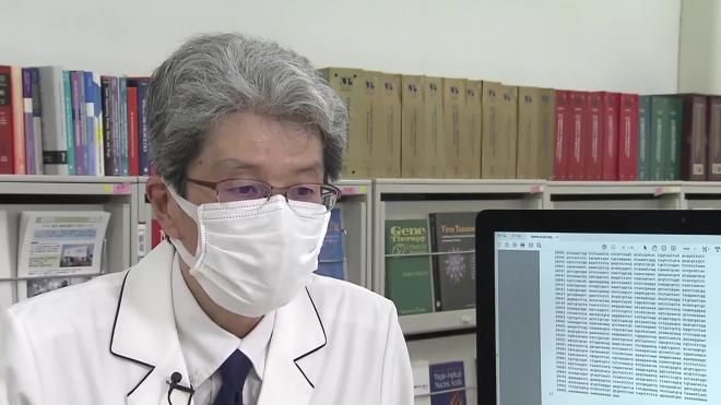 В Японии начались разработки назальной вакцины от коронавируса 