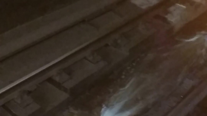 Очевидцы: что-то прорвало в тоннеле станции метро "Балтийская"