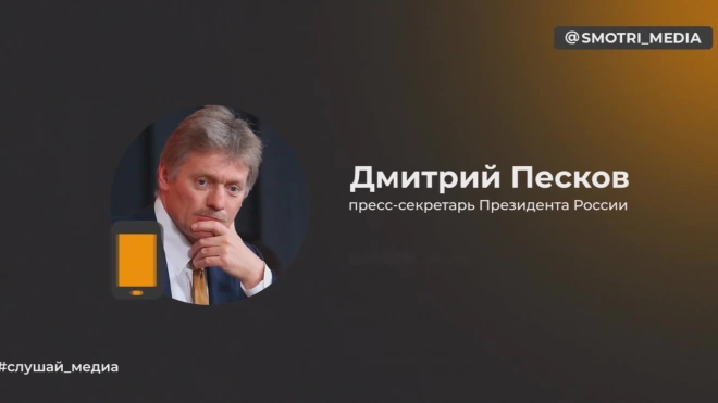 Песков: Путин высоко ценит диалог с военными корреспондентами