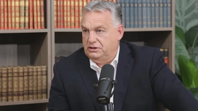 Орбан прокомментировал новый украинский закон о нацменьшинствах