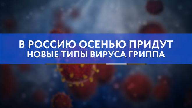 В Россию осенью придут новые типы вируса гриппа