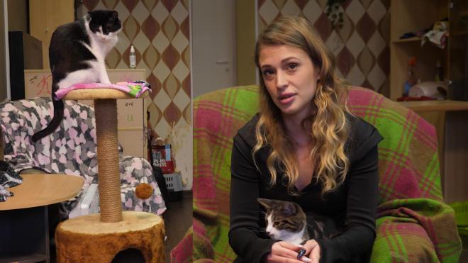"Мы спасли друг друга, как я котов, так и они меня": танцовщица пережила депрессию и открыла котокафе